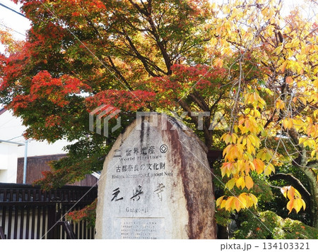 奈良県 元興寺の紅葉 11月 奈良県 元興寺の紅葉 11月 134103321