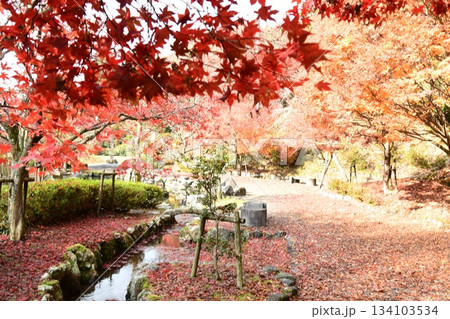 石道寺 紅葉 石道寺 紅葉 134103534