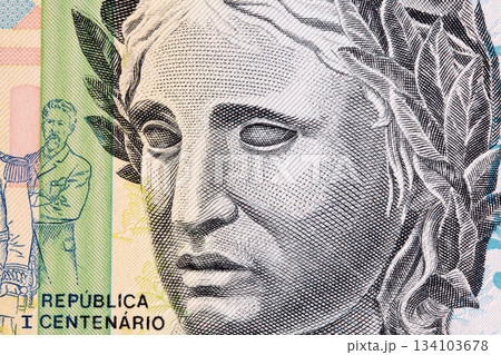 Sculpture of the Efigie a Republica from old Brazilian money Sculpture of the Efigie a Republica from old Brazilian money 134103678