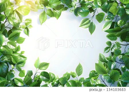 新緑の葉が囲む白背景フレームのナチュラルデザイン 134103683
