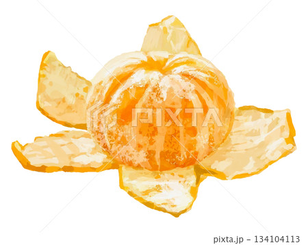 剥いた丸ごとみかんのイラスト(皮付き) 134104113