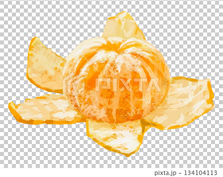 剥いた丸ごとみかんのイラスト(皮付き) 134104113
