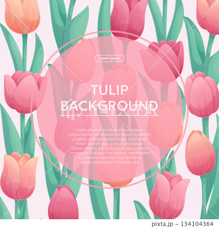 Colorful background with delicate tulips. The concept of a holiday, spring, women's day, Valentine's day. Vector illustration for the design of posters, flyers, postcards and invitations 134104364