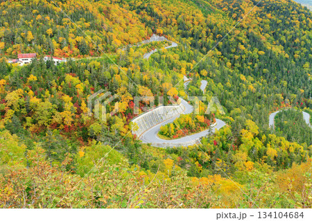 長野_乗鞍高原の紅葉絶景風景 長野_乗鞍高原の紅葉絶景風景 134104684