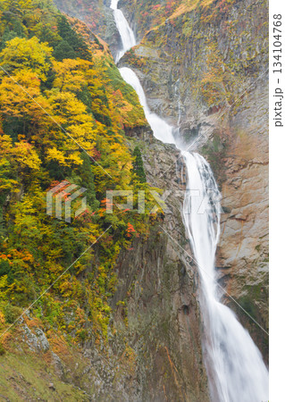 富山_紅葉に染まる称名滝の絶景風景 134104768