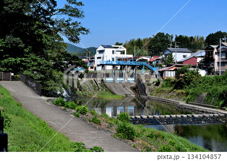 埼玉、水辺の散歩道、栃本堰 134104857