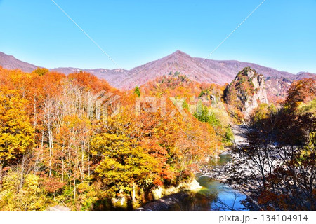 紅葉の新潟県魚沼市破間川源流に立つ立柄岩風景 134104914