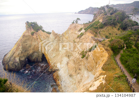 黄金埼公園 駿河湾 馬ロック 12月 黄金埼公園 駿河湾 馬ロック 12月 134104987