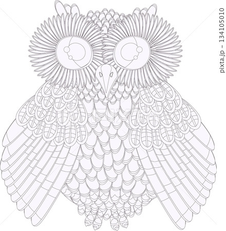 illustrationowl, coloring, black and white 134105010