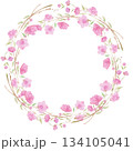 Round wreath, frame with Cherry blossom, sakura, branch with pink flowers, watercolor illustration. 134105041