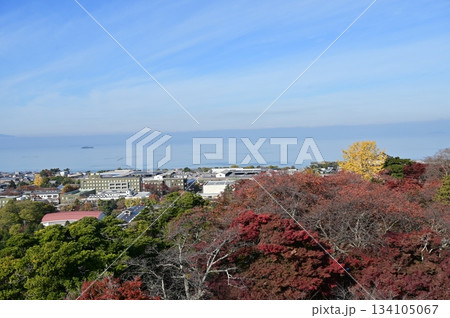 天守閣内から眺める琵琶湖と紅葉(彦根城) 天守閣内から眺める琵琶湖と紅葉(彦根城) 134105067