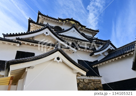 天守閣と青空（彦根城） 134105321