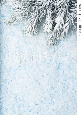 Winter Christmas Background with Snow and Pine Branches 134105360