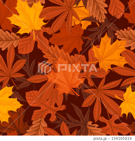 Autumn leaves pattern. Fall season different tree foliage yellow and red hand drawn, engraved Autumn leaves pattern. Fall season different tree foliage yellow and red hand drawn, engraved 134105819