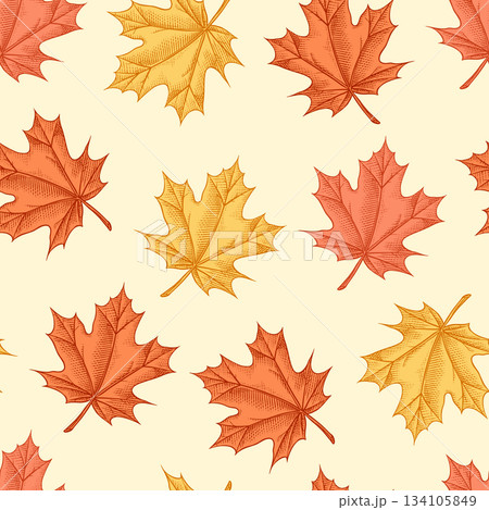 Autumn leaves pattern. Fall season different tree foliage yellow and red hand drawn, engraved 134105849