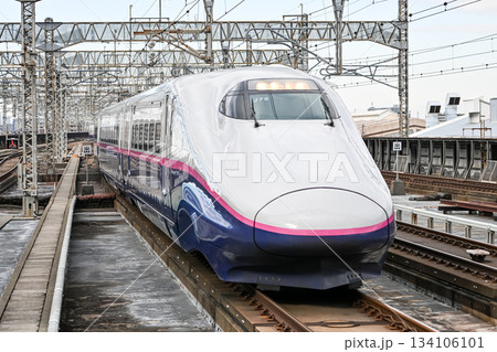 ホームに入線してくる上越新幹線E2系 ホームに入線してくる上越新幹線E2系 134106101