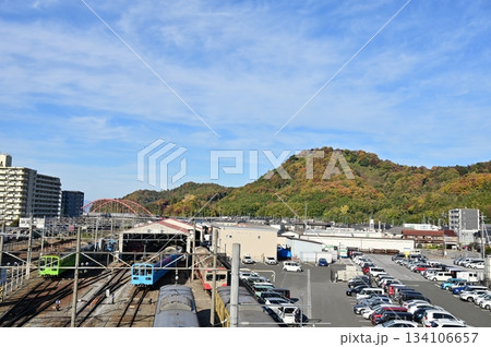彦根駅（近江鉄道）と佐和山の紅葉 134106657