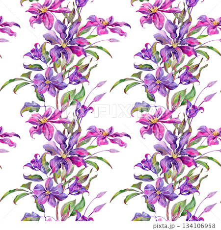 Flowers and buds of clematis, flowering branch and leaves are multi-colored, graceful. Seamless pattern, border. Hand-drawn with watercolor 134106958