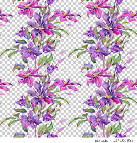 Flowers and buds of clematis, flowering branch and leaves are multi-colored, graceful. Seamless pattern, border. Hand-drawn with watercolor 134106958