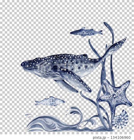 whale fish, underwater world, sea star, algae plant blue indigo with spots. Hand painted 134106960