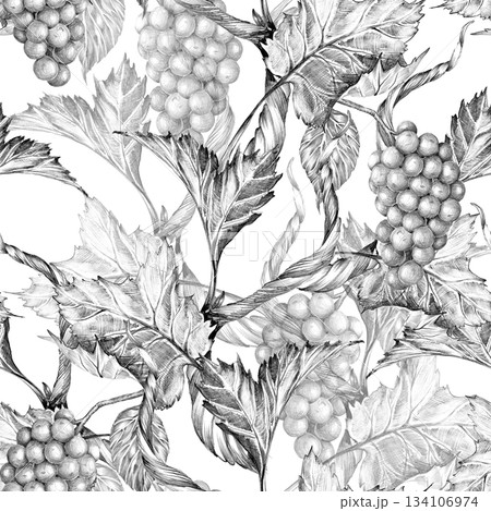 Grape vine branches with leaves and berries. Rich Seamless pattern, Hand drawn with pencil without 134106974