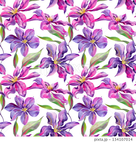 Clematis flowers and buds, leaves multicolored, graceful. Seamless pattern. Hand-drawn with watercolors with texture 134107014
