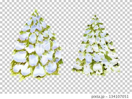 Winter trees of green color with snow on branches, on white background. Hand drawn with watercolor Winter trees of green color with snow on branches, on white background. Hand drawn with watercolor 134107051