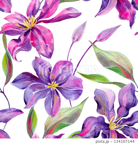 Clematis flowers and buds, leaves multicolored, graceful. Seamless pattern. Hand-drawn with watercolors with texture. for packaging, wallpaper Clematis flowers and buds, leaves multicolored, graceful. Seamless pattern. Hand-drawn with watercolors with texture. for packaging, wallpaper 134107144