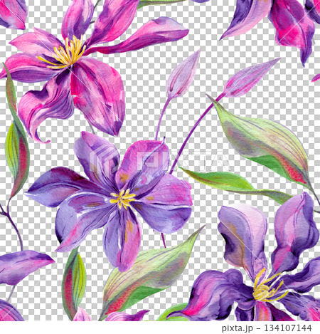 Clematis flowers and buds, leaves multicolored, graceful. Seamless pattern. Hand-drawn with watercolors with texture. for packaging, wallpaper Clematis flowers and buds, leaves multicolored, graceful. Seamless pattern. Hand-drawn with watercolors with texture. for packaging, wallpaper 134107144