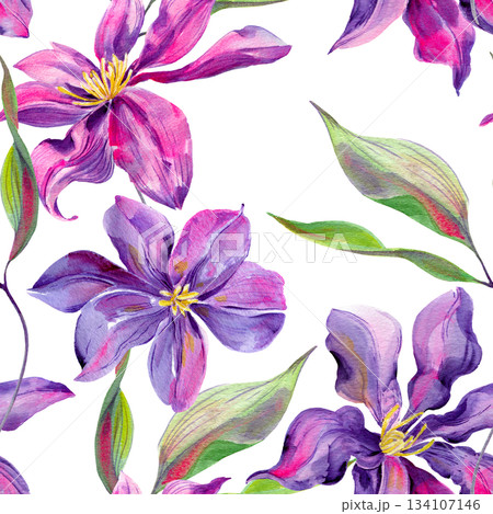 Clematis flowers and buds, leaves multicolored, graceful. Seamless pattern. Hand-drawn with Clematis flowers and buds, leaves multicolored, graceful. Seamless pattern. Hand-drawn with 134107146