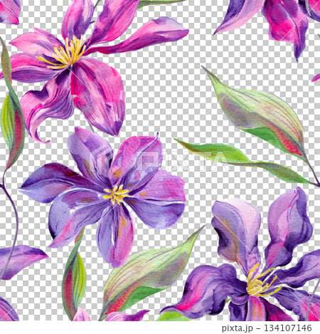 Clematis flowers and buds, leaves multicolored, graceful. Seamless pattern. Hand-drawn with Clematis flowers and buds, leaves multicolored, graceful. Seamless pattern. Hand-drawn with 134107146