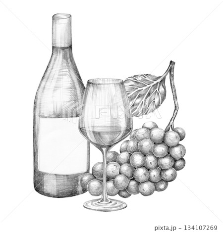 Composition of a bottle of wine, a glass and a bunch of grapes. Hand drawn with a pencil without a background Composition of a bottle of wine, a glass and a bunch of grapes. Hand drawn with a pencil without a background 134107269
