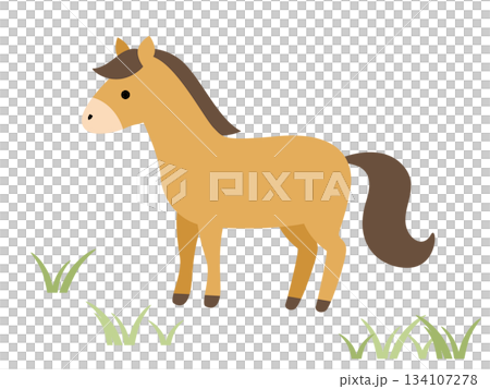 Cute horse illustration 134107278