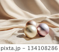 Elegant pastel ornaments on beige background 134108286