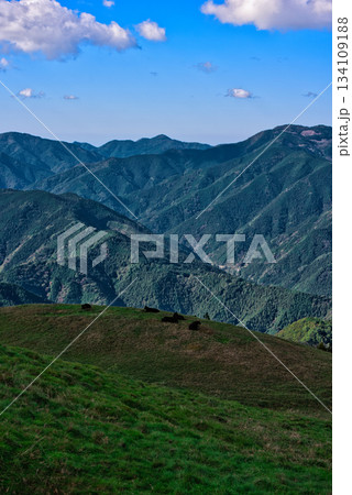 四国カルストから見える四国山脈と乳牛 四国カルストから見える四国山脈と乳牛 134109188