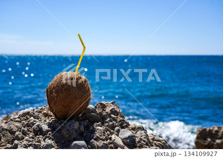 A Refreshing Coconut Sitting on a Rocky Shore, Perfectly Positioned Against a Beautiful Ocean Backdrop on a Bright Sunny Day A Refreshing Coconut Sitting on a Rocky Shore, Perfectly Positioned Against a Beautiful Ocean Backdrop on a Bright Sunny Day 134109927