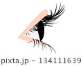 横顔のまつげラインイラスト｜女性の目元シルエットのベクター素材 134111639