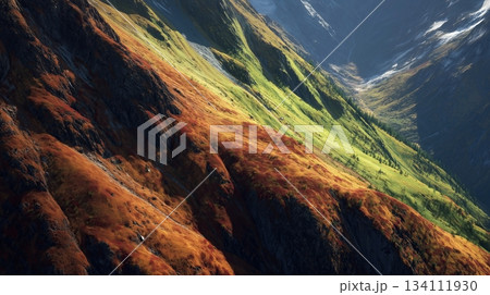 Golden Mountain Slopes in Autumn Light 134111930