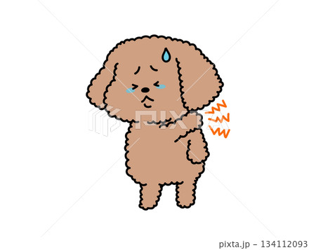 肩こり、首こりに悩む犬さん 134112093