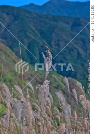 四国カルストから眺める四国山脈 四国カルストから眺める四国山脈 134112106