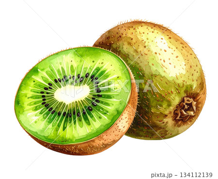 フレッシュなキウイフルーツの水彩イラスト 134112139