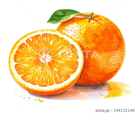 フレッシュなオレンジの水彩イラスト 134112140