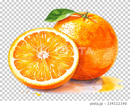 フレッシュなオレンジの水彩イラスト 134112140