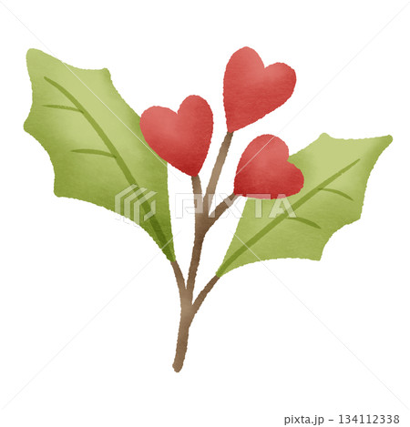 Watercolor holly hearts branch festive winter botanical illustration for Christmas cards scrapbooking stickers cozy holiday crafting decoration Watercolor holly hearts branch festive winter botanical illustration for Christmas cards scrapbooking stickers cozy holiday crafting decoration 134112338