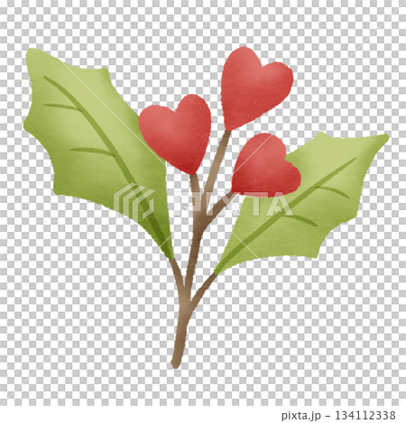 Watercolor holly hearts branch festive winter botanical illustration for Christmas cards scrapbooking stickers cozy holiday crafting decoration Watercolor holly hearts branch festive winter botanical illustration for Christmas cards scrapbooking stickers cozy holiday crafting decoration 134112338