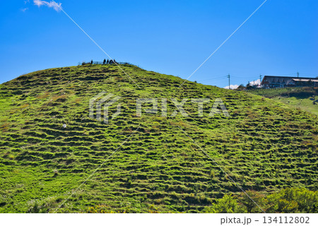 四国カルスト 134112802