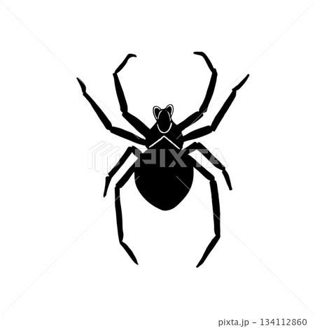 Vector illustration of a black spider. Arthropod predator drawn by hand. Suitable for Halloween design, cards, holiday, spooky party invitations. For stickers and scientific books, encyclopedias Vector illustration of a black spider. Arthropod predator drawn by hand. Suitable for Halloween design, cards, holiday, spooky party invitations. For stickers and scientific books, encyclopedias 134112860