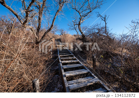 塔ノ岳と丹沢山登山、神奈川県 塔ノ岳と丹沢山登山、神奈川県 134112872