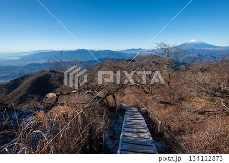 塔ノ岳と丹沢山登山、神奈川県 塔ノ岳と丹沢山登山、神奈川県 134112873