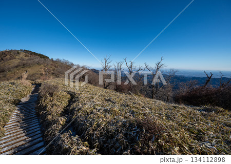 塔ノ岳と丹沢山登山、神奈川県 134112898